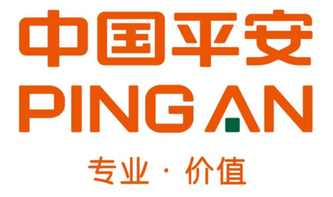 伙伴5